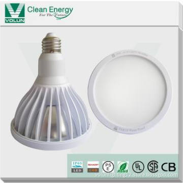 SAA UL 18W Sharp COB LED PAR38 spotlight IP65